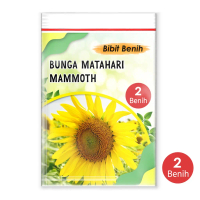 Bibit biji bunga matahari Mammoth import 2 biji kemasan klip plastik