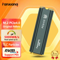 FANXIANG SSD 500GB 1tb 2tb 4tb SSD M2 NVMe PCIe 4.0 x4 M.2 2280 NVMe SSD Drive Internal Solid State Disk for PS5 Desktop