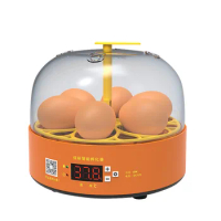 Mini 6 Chick Incubator Small Home Science and Education Incubator Cross-Border Children's Smart Egg Incubator Toy