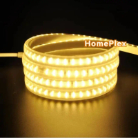 Homeplex Deepavali Decoration Lighting LED Strip Light Cable-less 220V AC Waterproof Narrow Neon lig