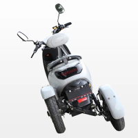 Adult Electric 3 Wheel Scooters Motorcycle 800w Electric Tricycle Scooter 3 Wheels Double Motor