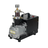 220V/110V Manual Shutdown 30Mpa 4500Psi PCP Air Compressor High Pressure Air Pump for Filling Pcp Air Tank Carbon Fiber Cylinder