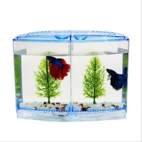 Transparent Betta Fish Tank Single/Double Grid with Water Grass Fish Breeding Isolation Box Betta Isolation Box Plastic