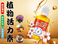 @貨比三家不吃虧@植物活力素 營養液 濃縮神仙水 養花 養花復活 植物花肥 植物通用型 壯根 生長活力素 花卉肥料