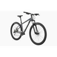 Cannondale TRAIL 6 - Mountainbike 2021 Slate Gray
