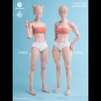 {保固一年 可打統編}Worldbox 1/6 女素體 肌肉版 AT206AB白色麥色可動女兵人素體