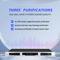 Professional Digital Power Amplifier 2 Channel Thin Digital Power Amplifier with Cooling Fan for Home Karaoke Stage Meetings