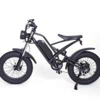 48V 22.5Ah Large Capacity Electric Fat Tire Bike 20X4.0 Fat Bike Snow Bike 1000W Motor E-bike