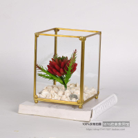 北歐簡約黃銅玻璃植物栽培花器 化妝品盒收納盒首飾收納1入