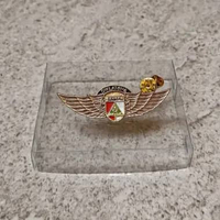 pin diklatsus banser