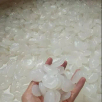 Kolang kaling segar Kolang kaling super bahan manisan 1kg bersih