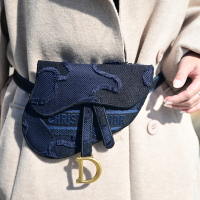 Christian Dior  SADDLE經典D墜飾帆布迷你腰包(深藍)