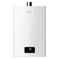 Reasonable price instant gas water heater delicate appearance storage water heater 220V