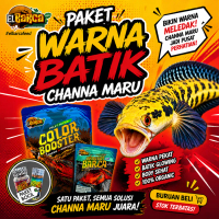 PAKET PAKAN CHANNA MARU YS RED Special Progress Batik pertajam warna red yellow mata merah Free Stic