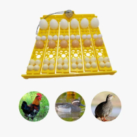36 Eggs Automatic Incubator Egg Tray Egg Incubator Motors Home Chicken Farm Poultry Hatching