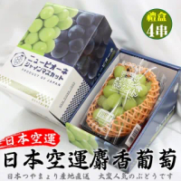 【WANG 蔬果】日本長野/山梨縣溫室麝香葡萄(4串_350-400g/串)