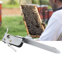 Beekeeping Grafting Needle Shift Pin Insect Larva Transferring Tool SingleEnd Stainless Steel