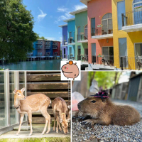 【宜蘭水岸森林物語】親子農場★可愛動物園單人門票(贈一份牧草/連假可使用)