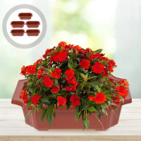 10 Pcs Tray Flowerpot Office Big Pots Outdoor Large Gardening Bonsai Container Plastic