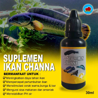 Suplemen ikan Channa obat probiotik Chana mutasi warna
