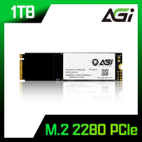 AGI AI298_1TB M.2 2280 PCIe NVMe Gen3x4 固態硬碟(讀：2570M/寫：2070M)