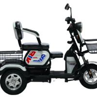 New Style Tricycles 3 Wheel Cargo Electric Bike Digital 600W E Bikes Electric 3wheels Bicycle Open