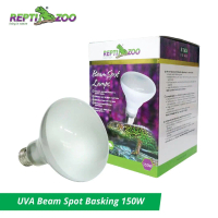 Reptizoo UVA Beam Spot Basking 150W - Lampu Reptil
