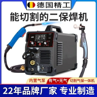 德國進口220v小型兩用電焊二氧化碳氣體保護焊機110v無氣二保焊機