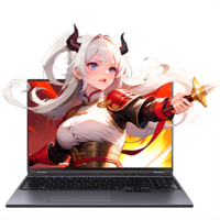 Mechrevo 蛟龍16Pro 16" Ryzen 9 8940HX RTX 5060 16GB+1TB Windows 11 Pro 電競手提電腦(NB-M16PR9A+LB-PCNB)   