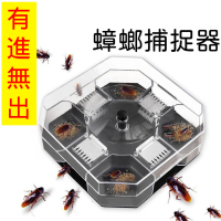 無毒蟑螂捕捉器(四面誘捕器 捕捉器 大蟑螂捕捉器蟑螂誘捕器滅蟑螂器蟑螂屋 pest control)