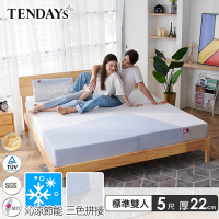 【TENDAYS】包浩斯紓壓床墊5尺標準雙人(22cm厚 記憶床)-買床送枕