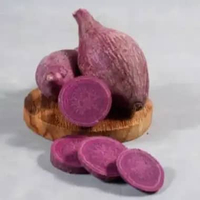 Ubi Ungu Murasaki 1 Kg (Ubi Jalar Jepang) Besar