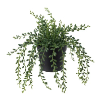 FEJKA 人造盆栽, 室內/戶外用 盆栽植物string of beads, 9 公分