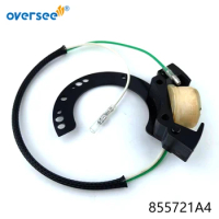855721A4 Motorcycle Ignition Coil Stator For Mercury 6HP 8HP 9.9HP 10HP 15HP 20HP 25HP Outboard Engine 174-5721 855721T8