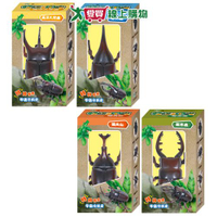 世一文化 發條甲蟲 獨角仙 姬兜蟲 大兜蟲 鍬形蟲 玩具 昆蟲【愛買】【Cube卡+APP下單最高10%回饋】