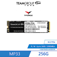 十銓TEAM-MP33 M.2 PCIe Gen3x4【256 GB】固態硬碟 (TLC).