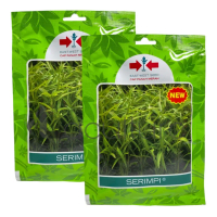 Benih Kangkung SERIMPI Isi 1500 Butir Cap Panah Merah