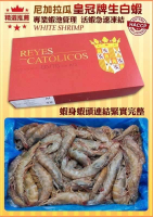 【天天來海鮮】皇冠牌生白蝦 知名飯店指定專用蝦 規格：40/50尾/公斤