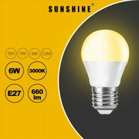 陽光 - LED燈膽 6W / E27大螺頭 / 黃光3000K LED燈泡 | LED球膽 | LED球泡 (LGT-6E27W)