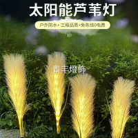 led光纖蘆葦草坪燈七彩 戶外防水 太陽能庭院燈 花園燈 公園景觀燈 亮化裝飾燈 室外氛圍燈 氣氛燈 地插燈
