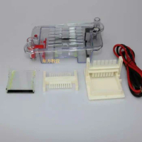 Horizontal electrophoresis tank Agarose electrophoresis tank biological instrument molecular separat