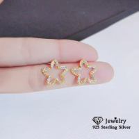 CC Star Earrings For Women Gold Plated Fashion Jewelry Small Cute Daily Accessory Ear Stud Brincos Drop Shipping CCE778