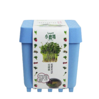 【蔬菜之家】iPlant小農場系列-豆芽菜(可任意組合盆栽)