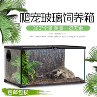 【220V】Reptizoo蜥蜴爬寵爬蟲龜陸龜箱角蛙寄居蟹飼養箱盒造景缸守宮包郵