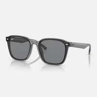 Ray Ban｜RB4392D-645087 膠框太陽眼鏡