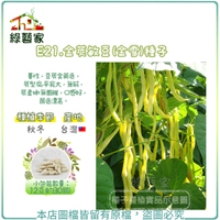 【綠藝家】E21.金莢敏豆(金雪)種子12克(約30顆)