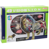4D Master Lion Anatomy Model Teaching Model of Internal Organ Anatomy Puppet Toy Wild Animal Model