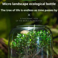 Desktop Bonsai Finished Vase Fresh Micro Landscape Bonsai Greenery Eco Bottle