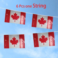 Directly Delivery PE Waterproof National Day July 1st Canada Bunting String Flags