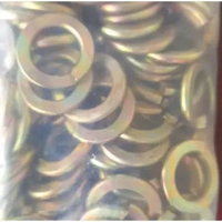 Ring Per M10 baut 14 10 mm Spring Washer
